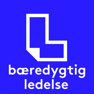 Normal fixed b redygtigledelse 2022 1000x1000